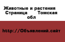  Животные и растения - Страница 11 . Томская обл.